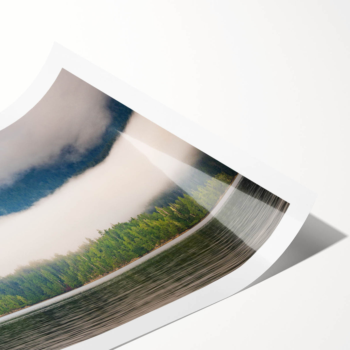 Extra large wall art featuring line art flowers in muted tones on a rolled print, ideal for large living room decor.