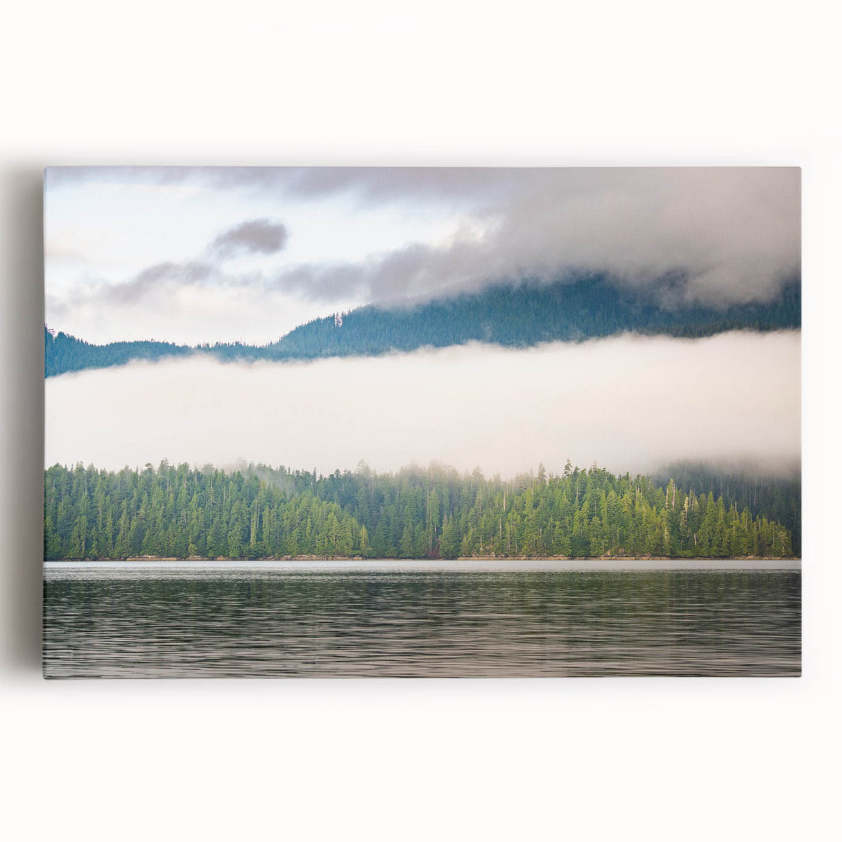 Black and white photo of British Columbia landscape on large stretched canvas, suitable for kitchen art.