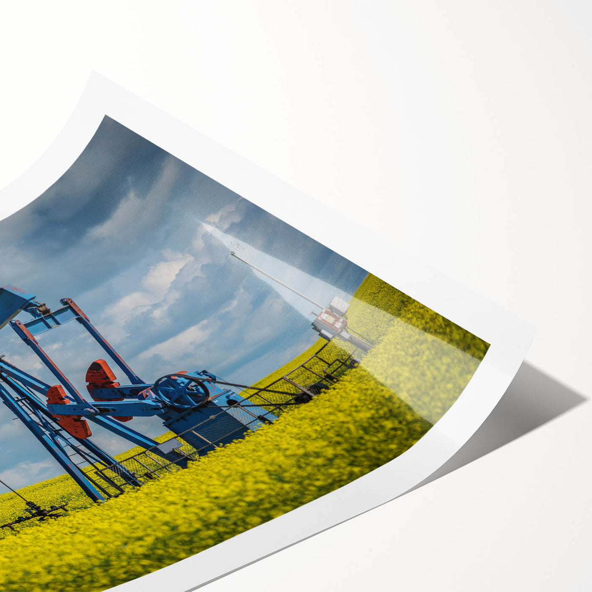 Extra large wall art featuring line art flowers in monochrome, printed on rolled canvas, ideal for large living room decor.