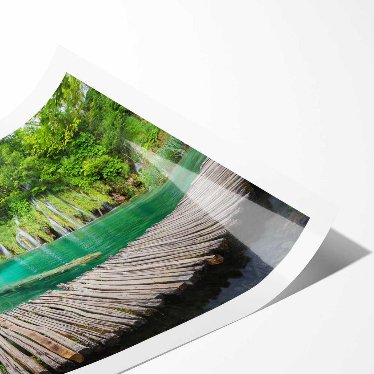 Extra large rolled print of line art flowers in muted earth tones, ideal for large living room wall art.