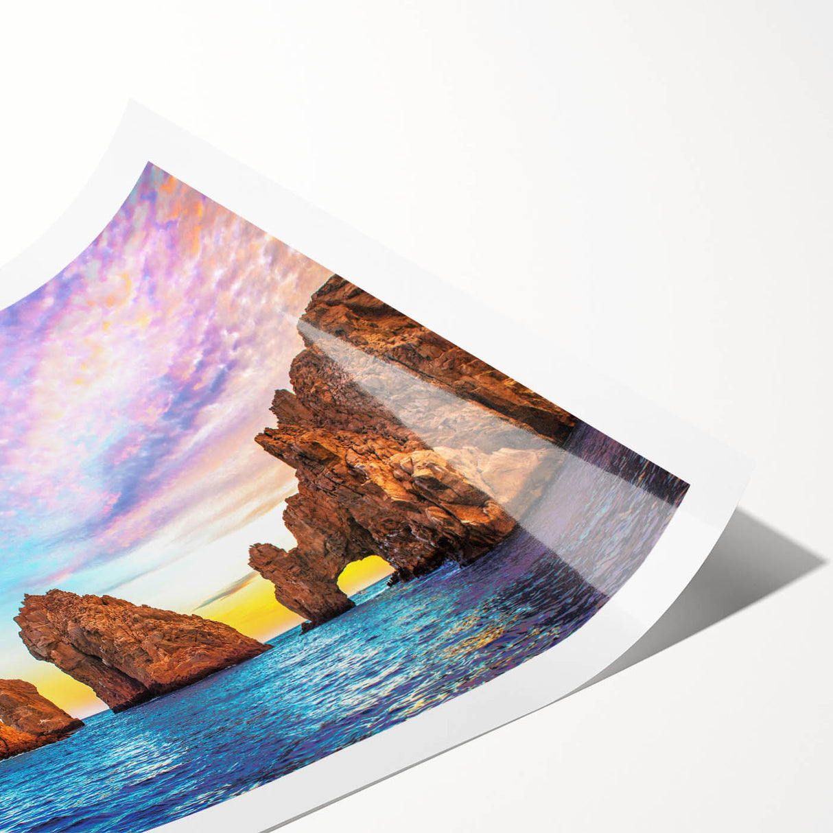 Extra large rolled print featuring line art flowers with muted earth tones, ideal for large living room wall art.