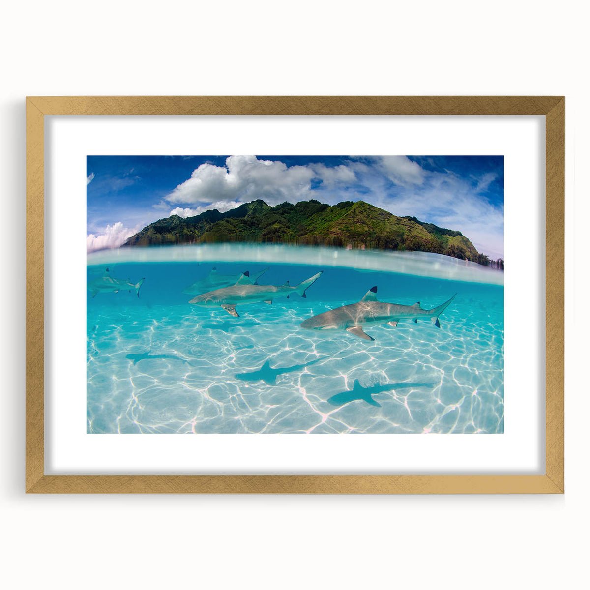 Extra large abstract art print of a French Polynesian scenery in gold frame, ideal for living room decor.