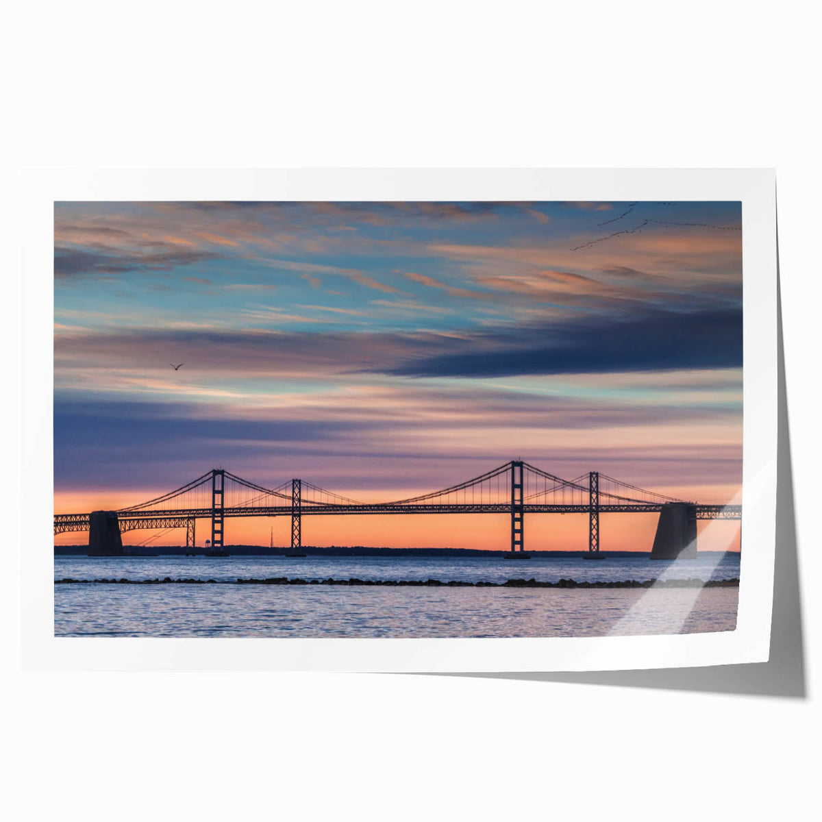 Extra large rolled print of Baltimore scenery with vibrant floral elements, ideal for dining room wall art.