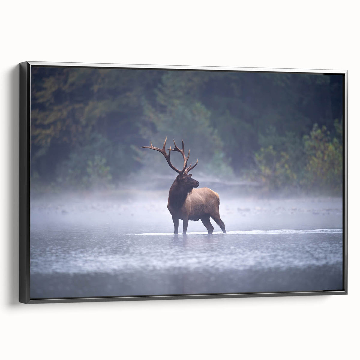 Framed canvas featuring a black and white landscape of Pennsylvania, ideal for bedroom wall decor.