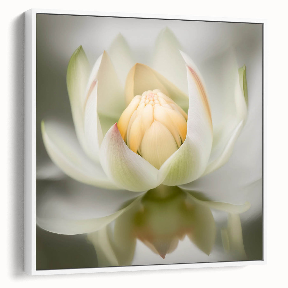 Acrylic Dining Room Artwork - Soft White Lotus Floral Print