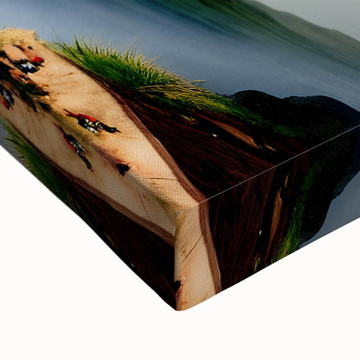 Large art featuring a black and white landscape of Zambia on stretched canvas, suitable for bedroom wall decor.