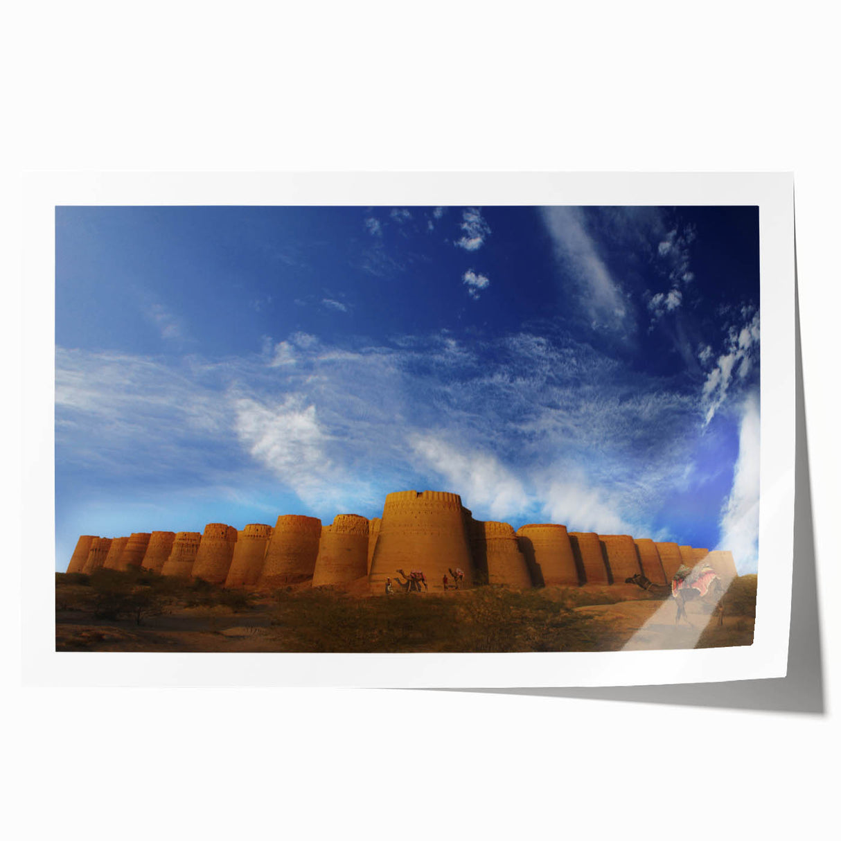 Extra large rolled print of a vibrant floral scene in Pakistan, ideal for art wall dining room.