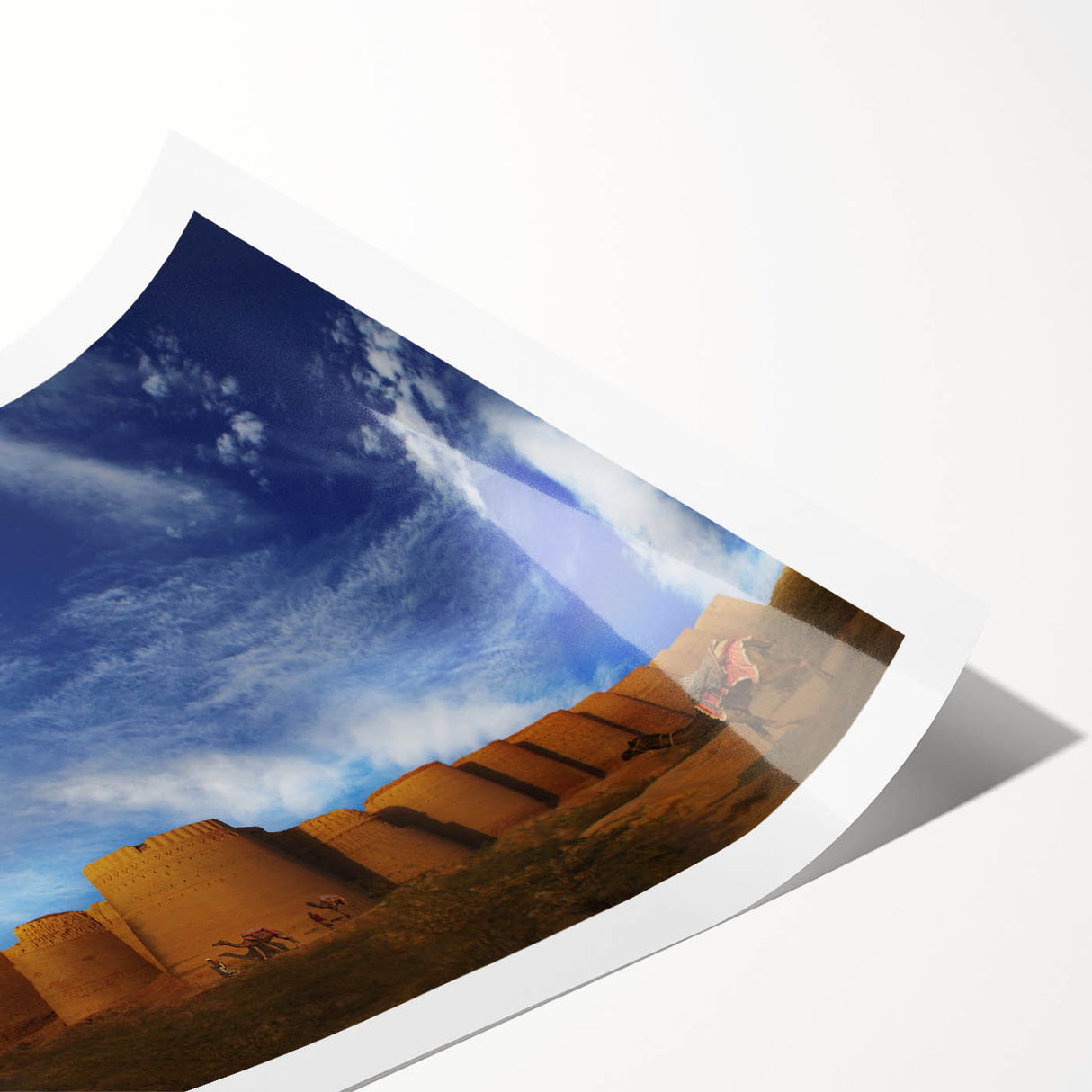 Extra large rolled print featuring line art flowers in muted earth tones, ideal for large living room wall decor.