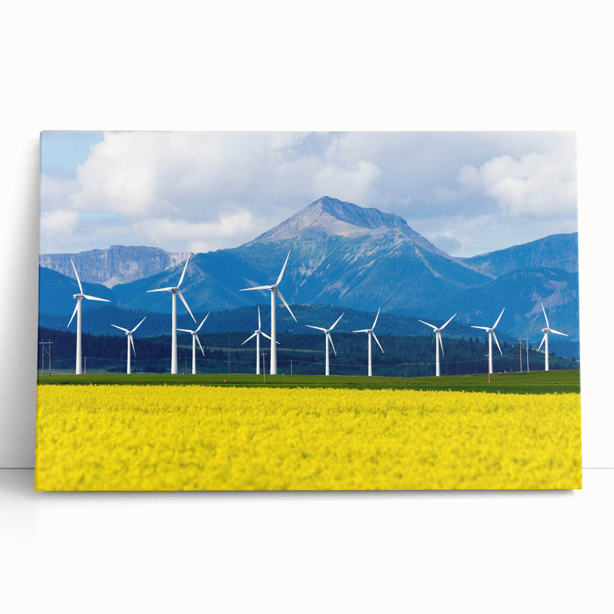 Black and white photograph of Alberta's landscape on stretched canvas, suited for kitchen or bedroom wall art.