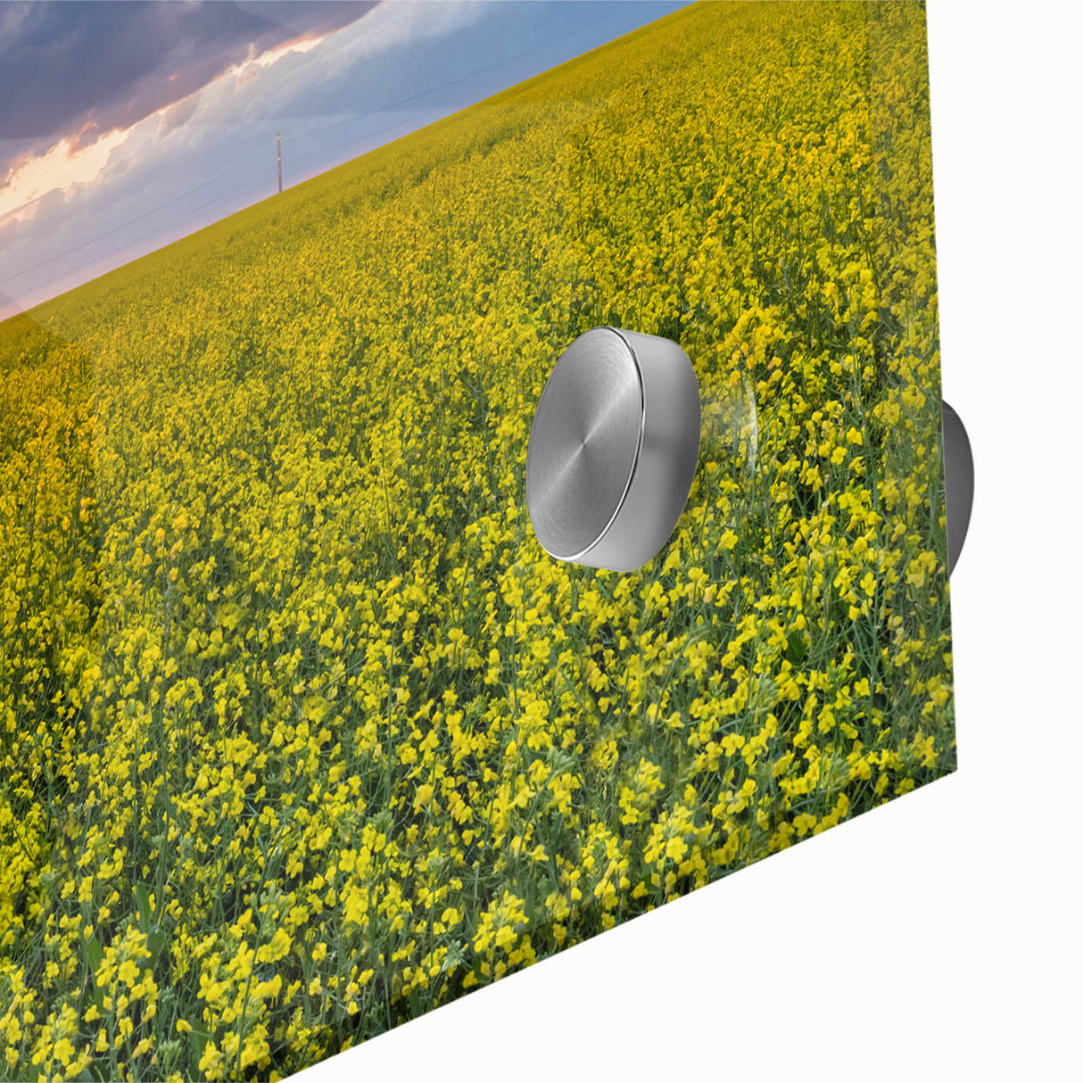 Large abstract wall art depicting Saskatchewan scenery in muted green and blue tones on acrylic glass.