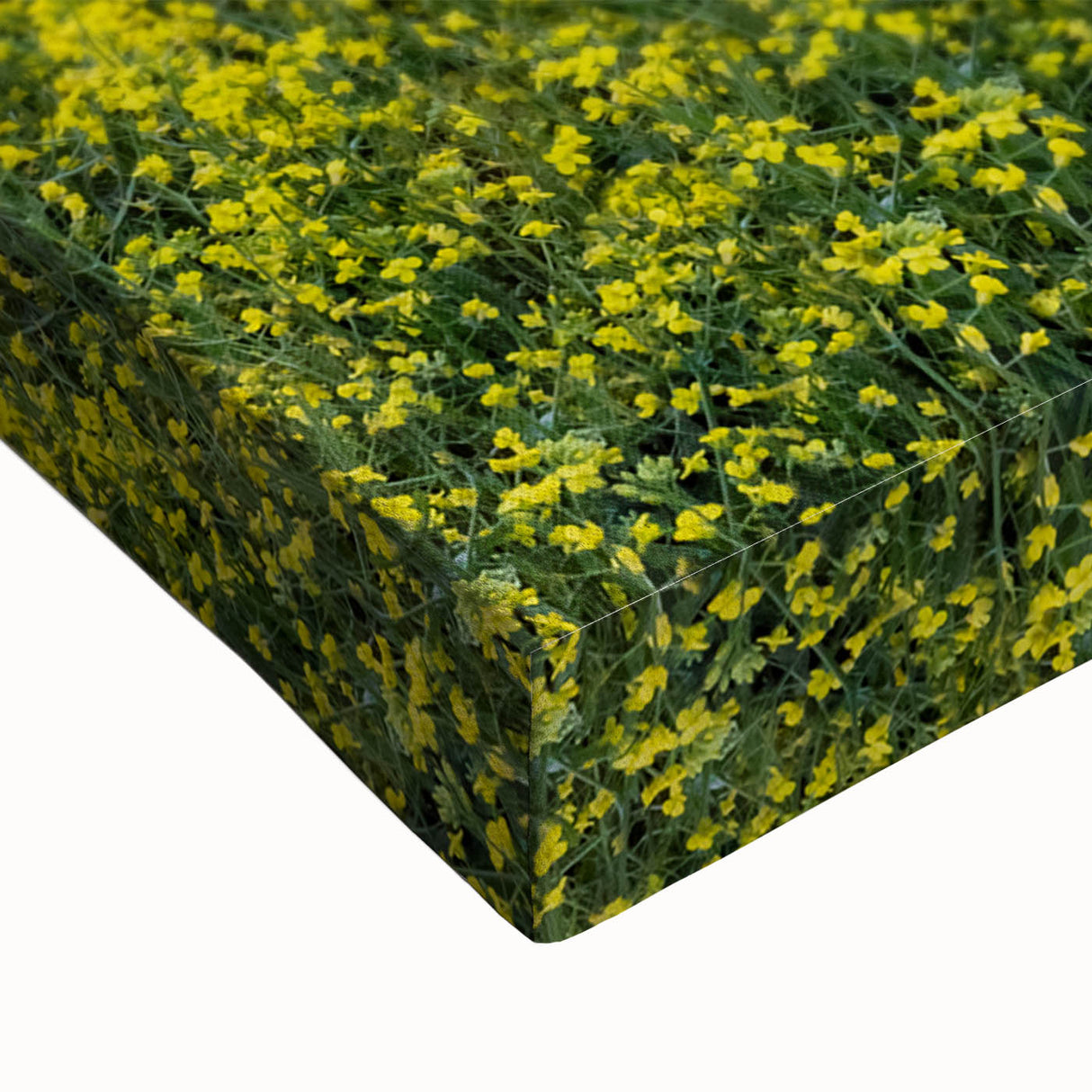 Black and white landscape art painting of Saskatchewan scenery on large stretched canvas, suitable for bedroom wall art.