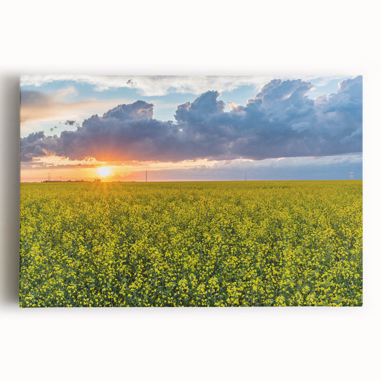 Black and white stretched canvas featuring a serene Saskatchewan landscape, ideal for kitchen wall art.