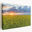 Scenic Saskatchewan landscape on large stretched canvas, featuring muted green and blue tones, ideal for kitchen wall art.