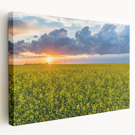 Scenic Saskatchewan landscape on large stretched canvas, featuring muted green and blue tones, ideal for kitchen wall art.