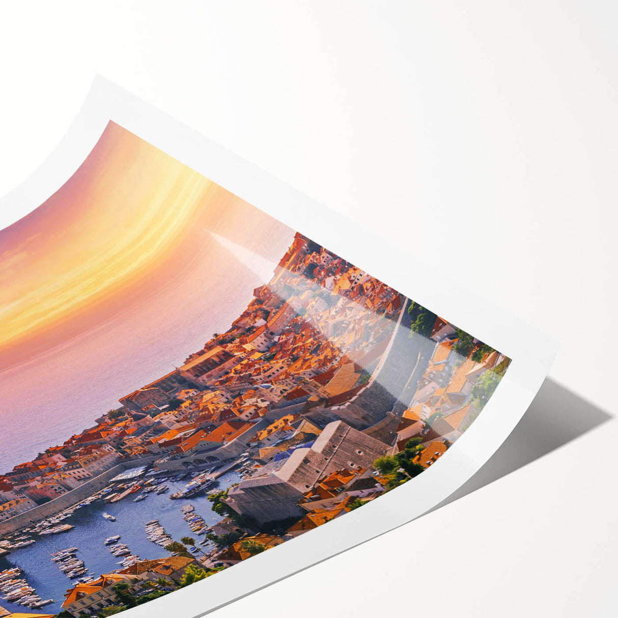 Extra large rolled print featuring line art flowers in a Croatian landscape, using muted earth tones.