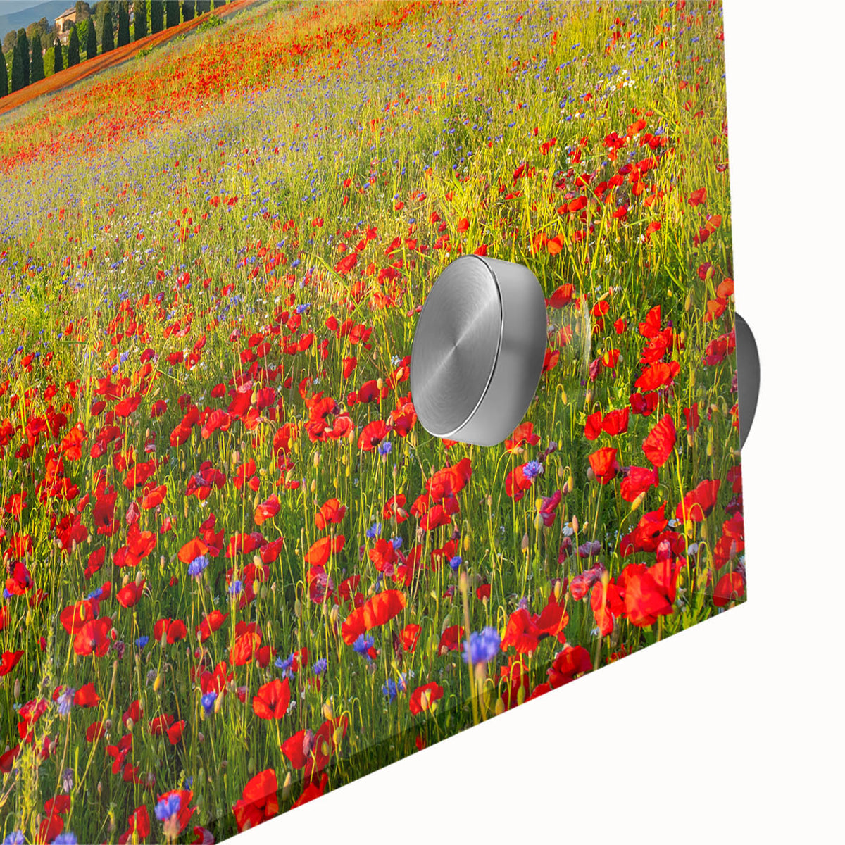 Large abstract depiction of Tuscany landscape in muted earth tones on acrylic glass, ideal for dining room art.