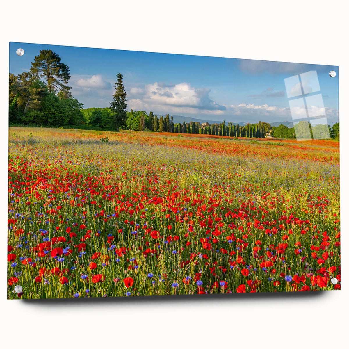 Acrylic print of a Tuscan landscape in muted earth tones, ideal for dining room decor.