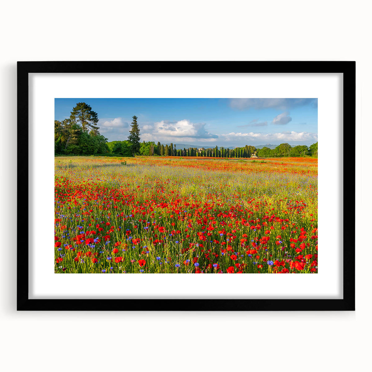 Abstract art print of Tuscany scenery in vibrant, textured colors on a large framed canvas, ideal for living room decor.