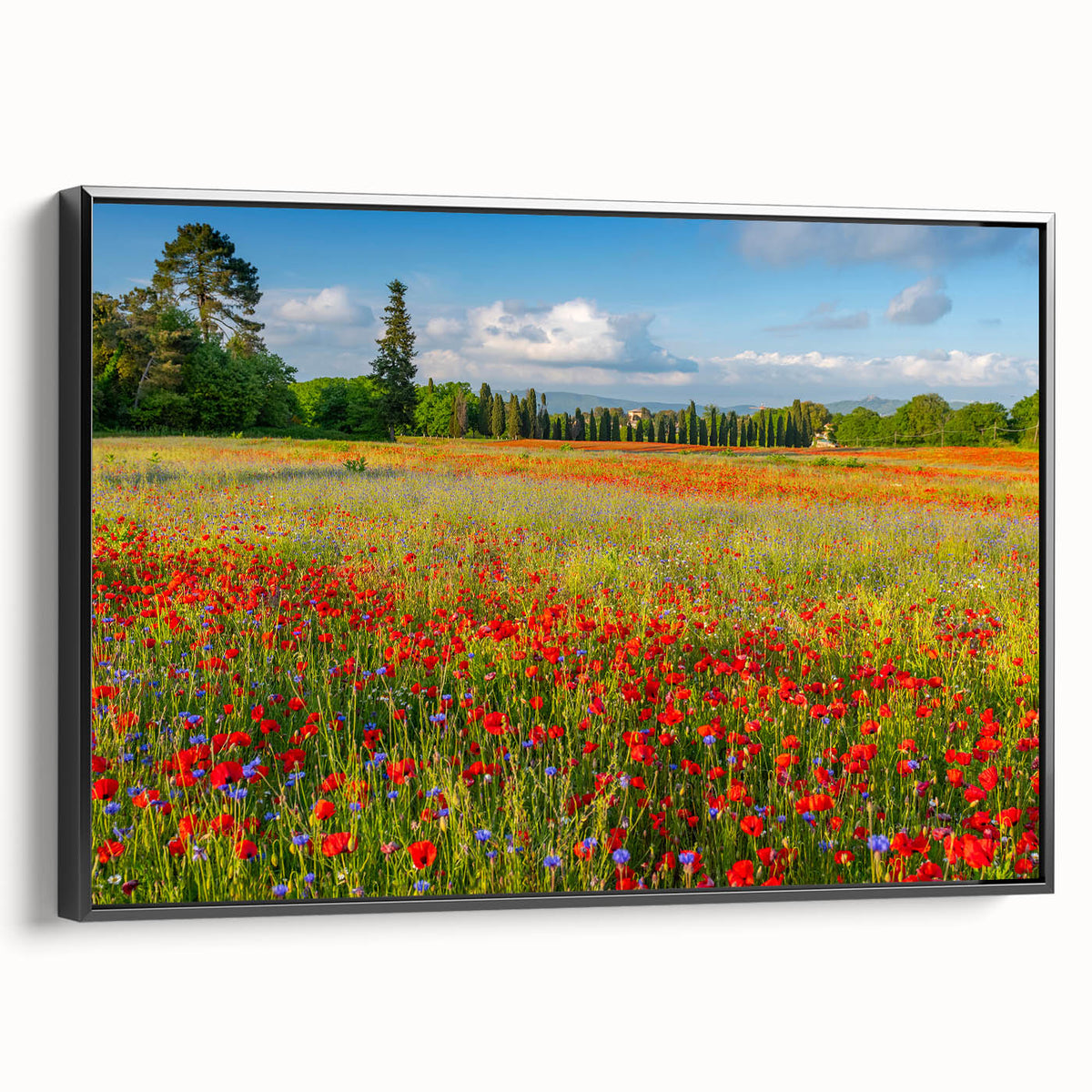 Black and white framed canvas of a Tuscan landscape with vintage poster art style, suitable for bedroom decor.