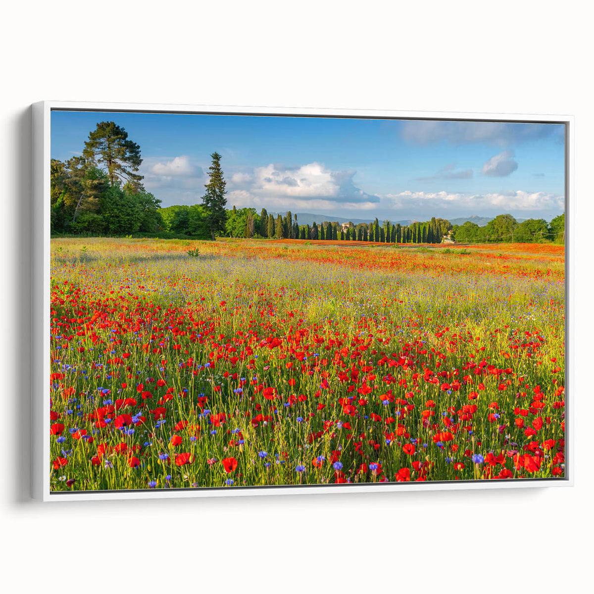 Vintage poster art of Tuscany landscape on framed canvas, featuring vibrant colors, ideal for living room decor.