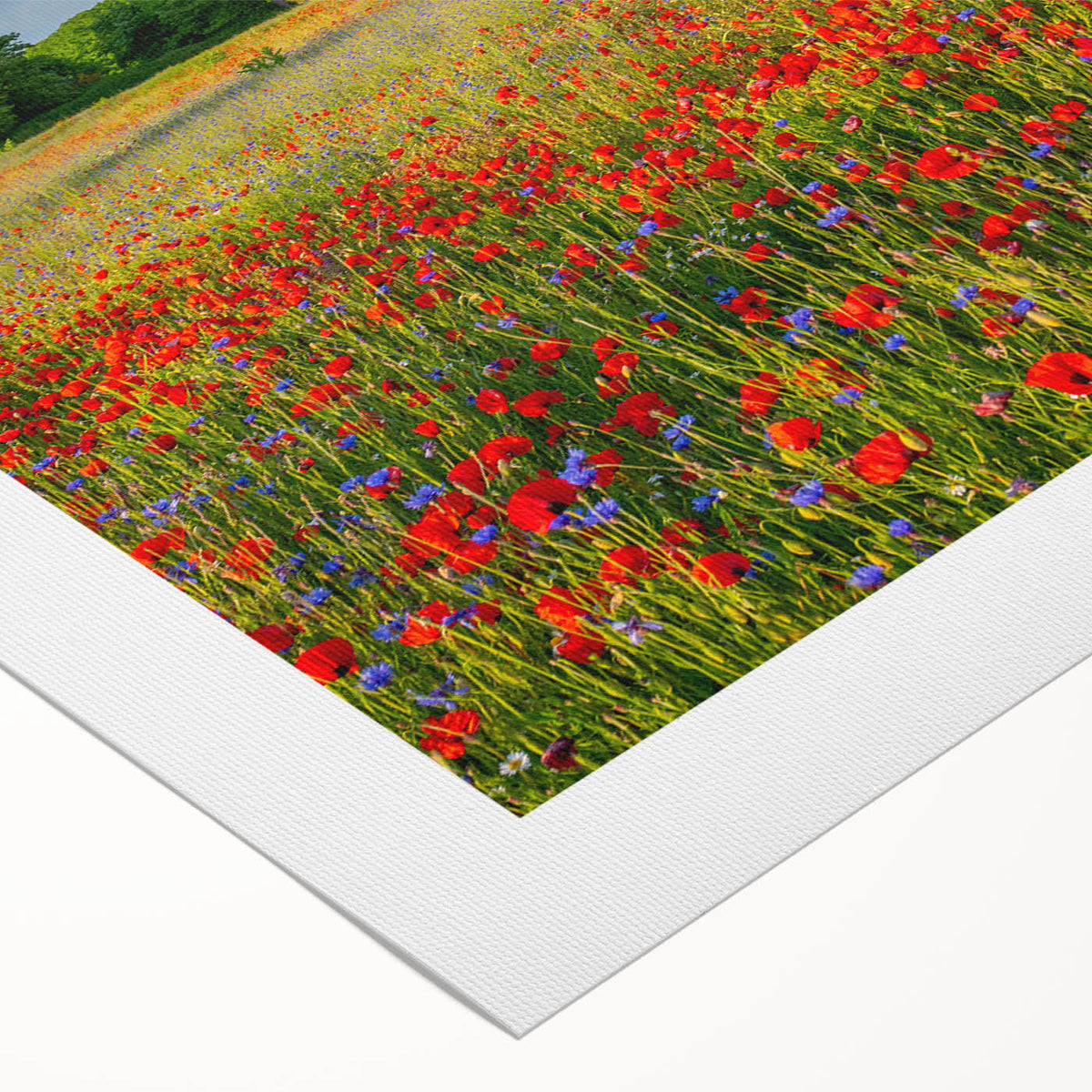 Art deco poster of Tuscany landscape in muted earth tones on rolled canvas, suitable for dining room wall art.