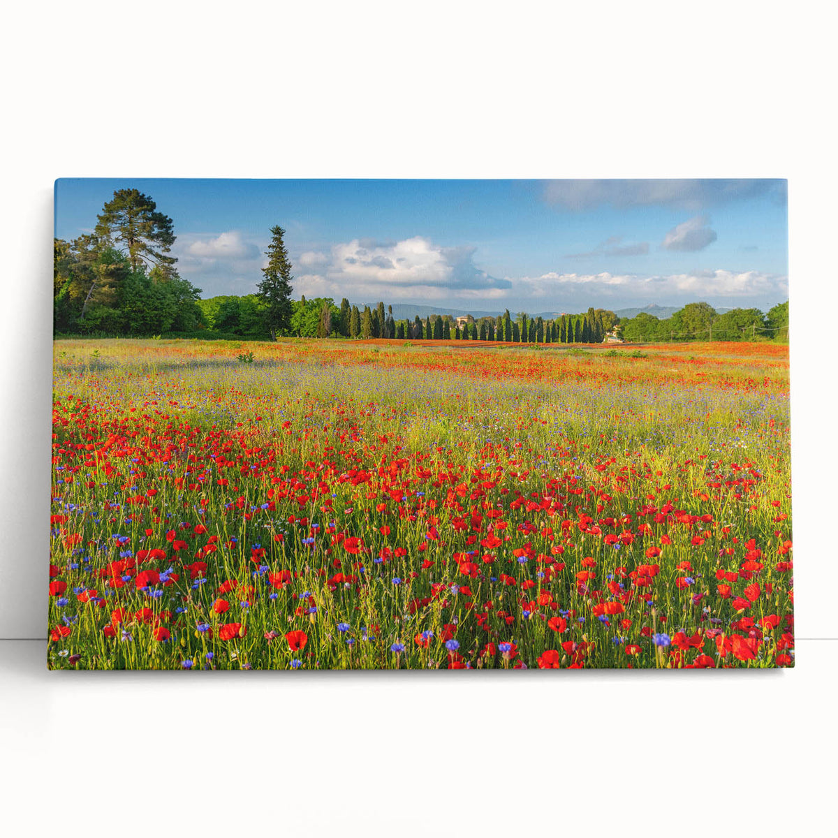 Black and white stretched canvas of a Tuscan landscape, ideal for kitchen wall art.