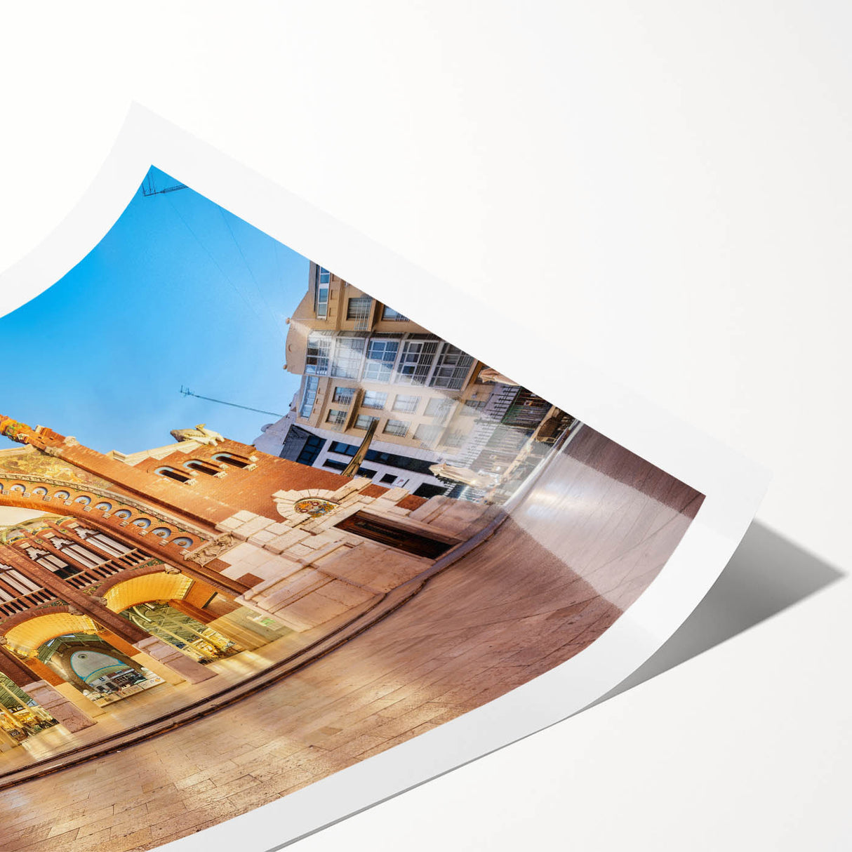 Extra large rolled print of line art flowers in black and white, ideal for large living room wall art.