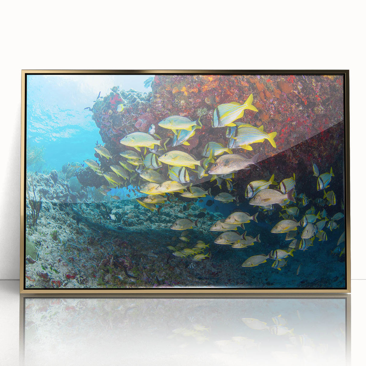 Large abstract wall art depicting a vibrant Mexican Quintana Roo scenery on a gold-framed acrylic.