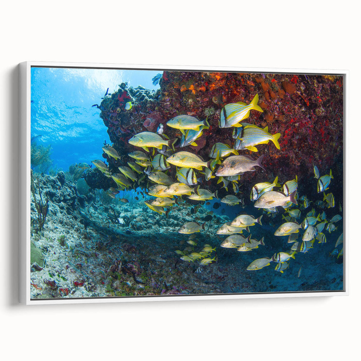 Vintage poster art of Quintana Roo scenery on framed canvas, featuring vibrant colors, ideal for living room decor.