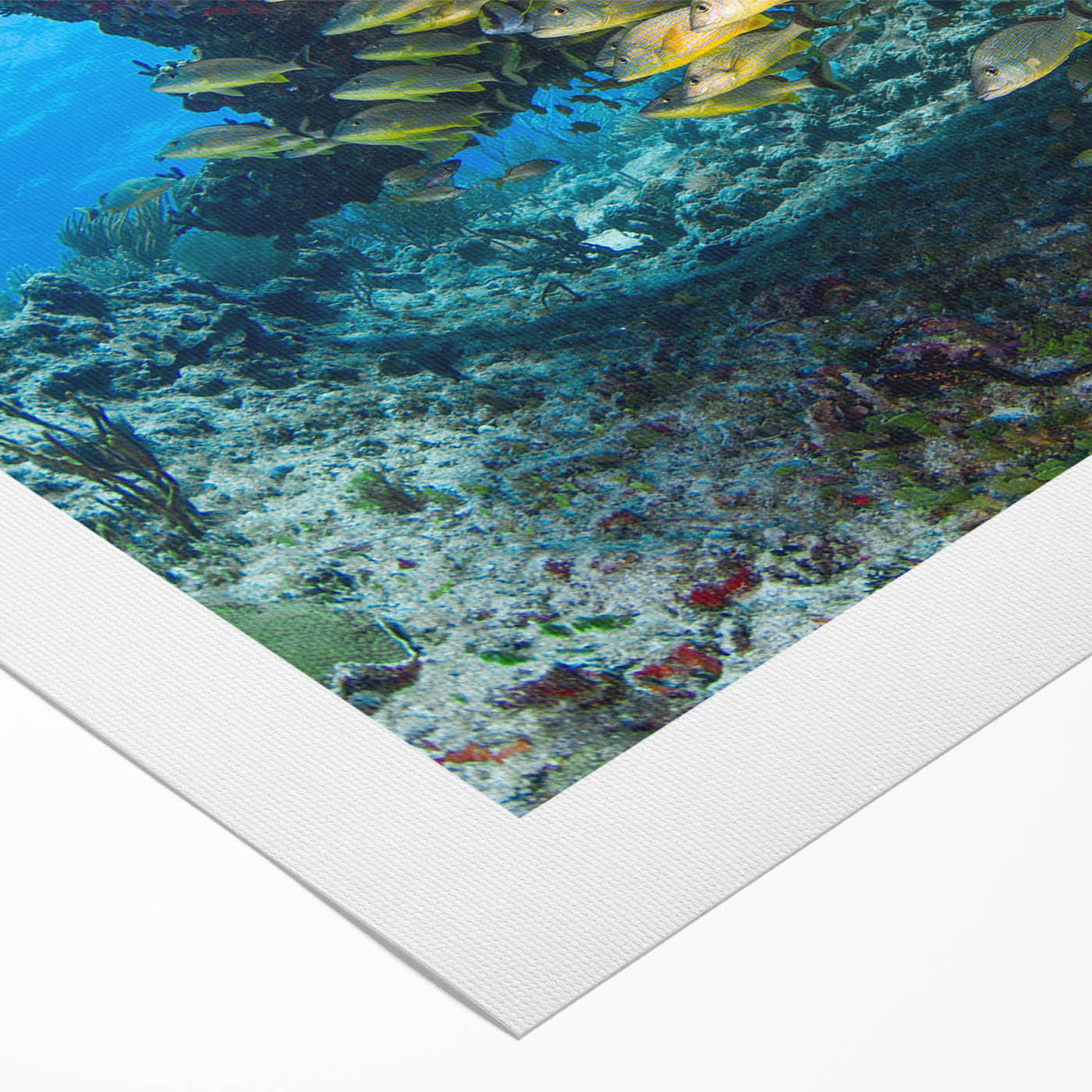 Art deco poster of Quintana Roo scenery in pastel shades on rolled canvas, suitable for dining room wall art.