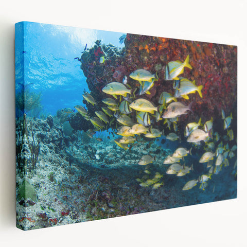 Large stretched canvas featuring a scenic view of Quintana Roo, Mexico, in vibrant oceanic and sky blue tones.