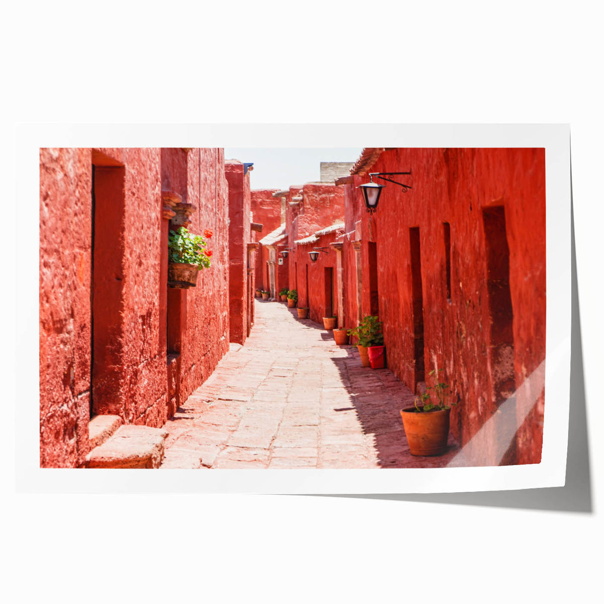 Extra large rolled print of Catalina, California scenery with vibrant floral elements, ideal for art wall dining room.