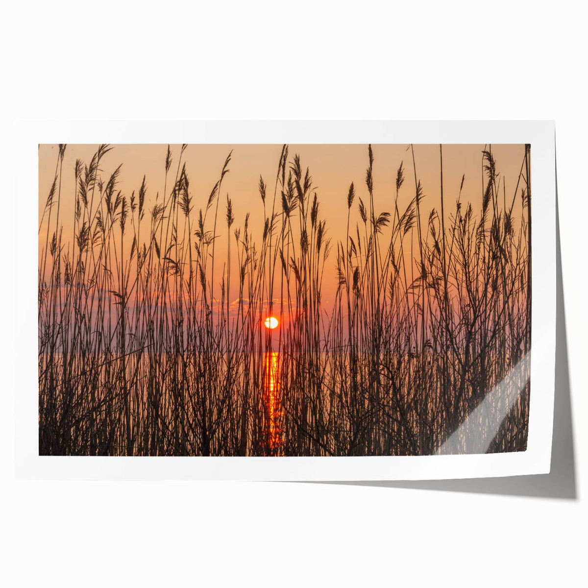 Extra large rolled print depicting Chesapeake Bay with muted blue and green tones, ideal for classy bathroom wall art.