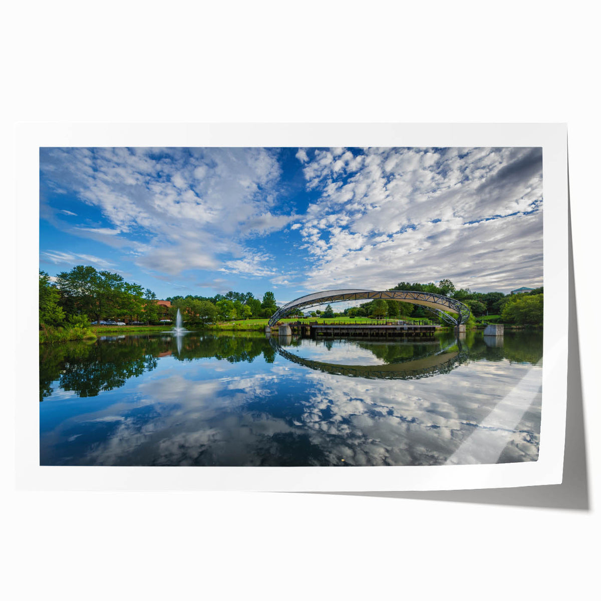 Charlotte skyline in muted gray, rolled canvas print, suitable for dining room wall art.