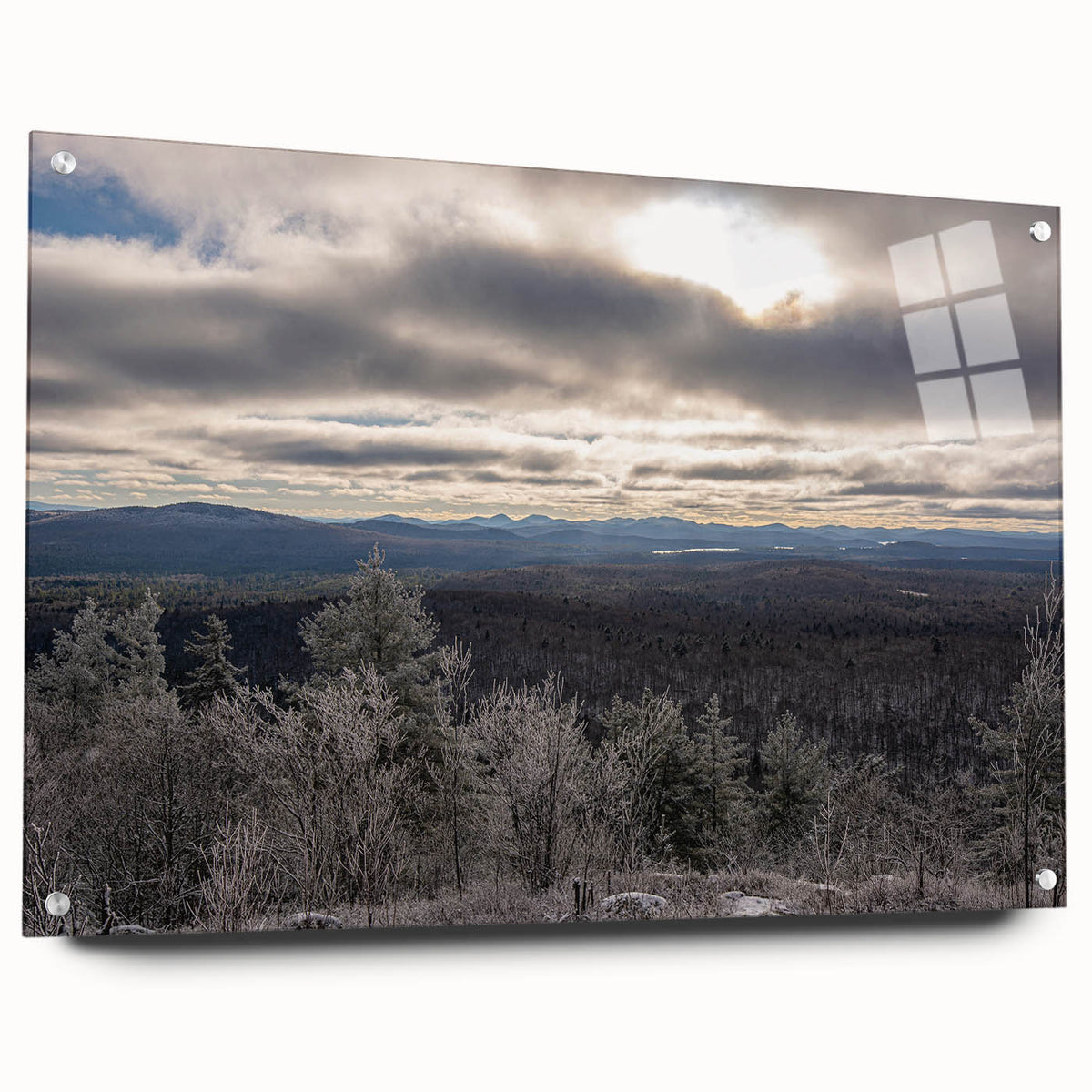 Acrylic print of a serene Adirondacks landscape with lush greenery and water, in muted earth tones.