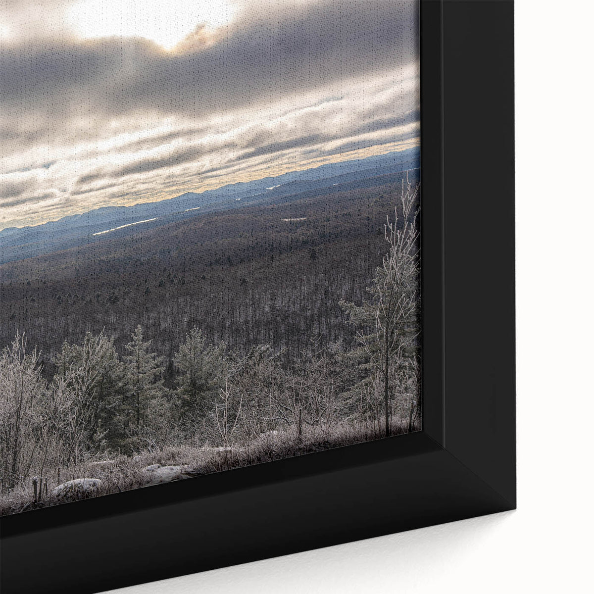 Black wall art featuring a textured close-up of colorful Adirondack scenery on a framed canvas, ideal for living room decor.