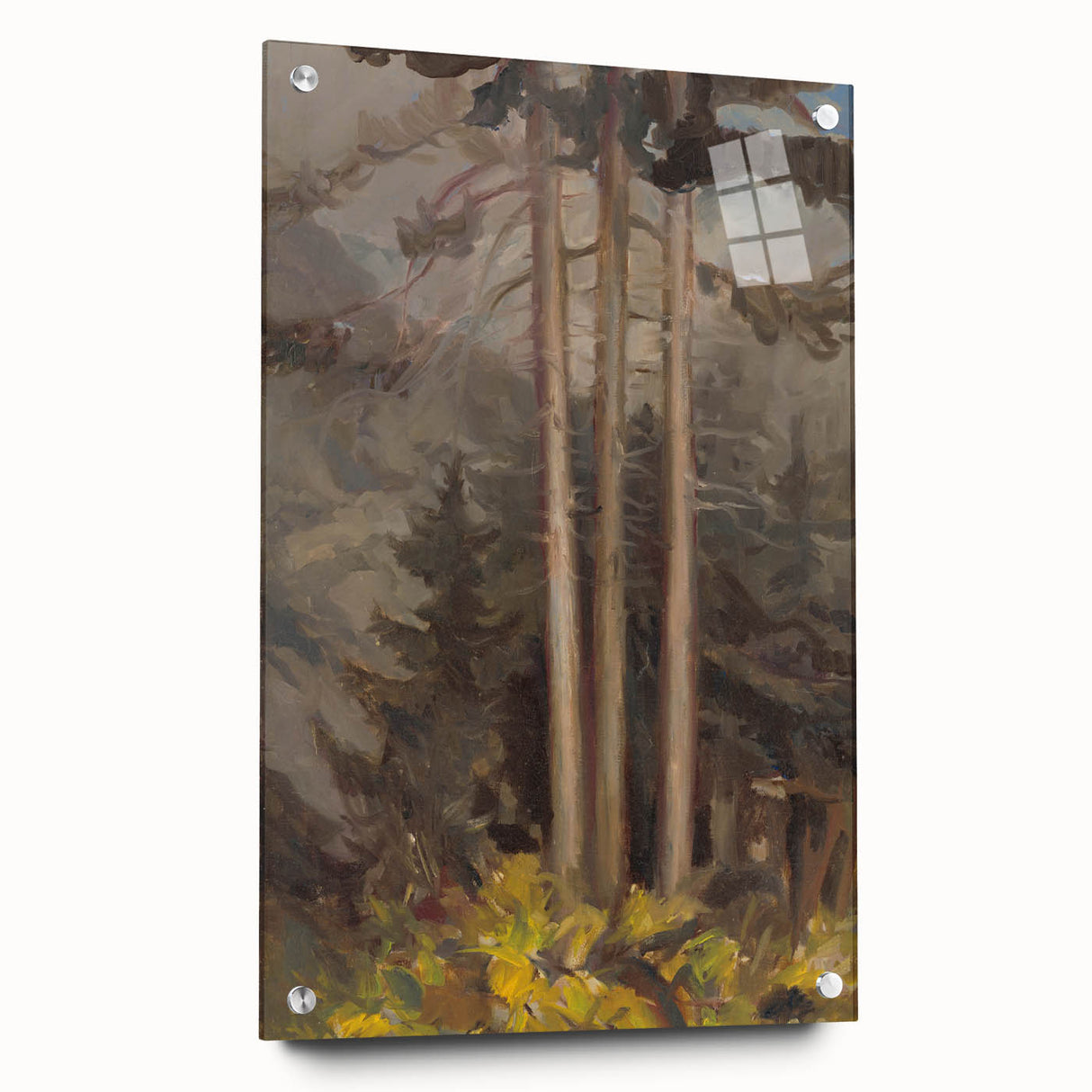 Modern Spruce Forest Wall Art - Abstract Contemporary Art Prints