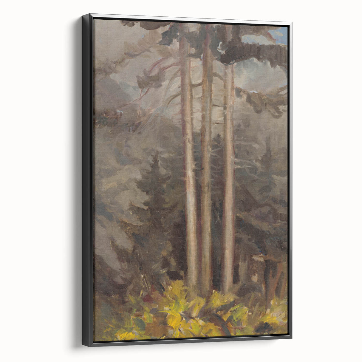 Modern Spruce Forest Wall Art - Abstract Contemporary Art Prints