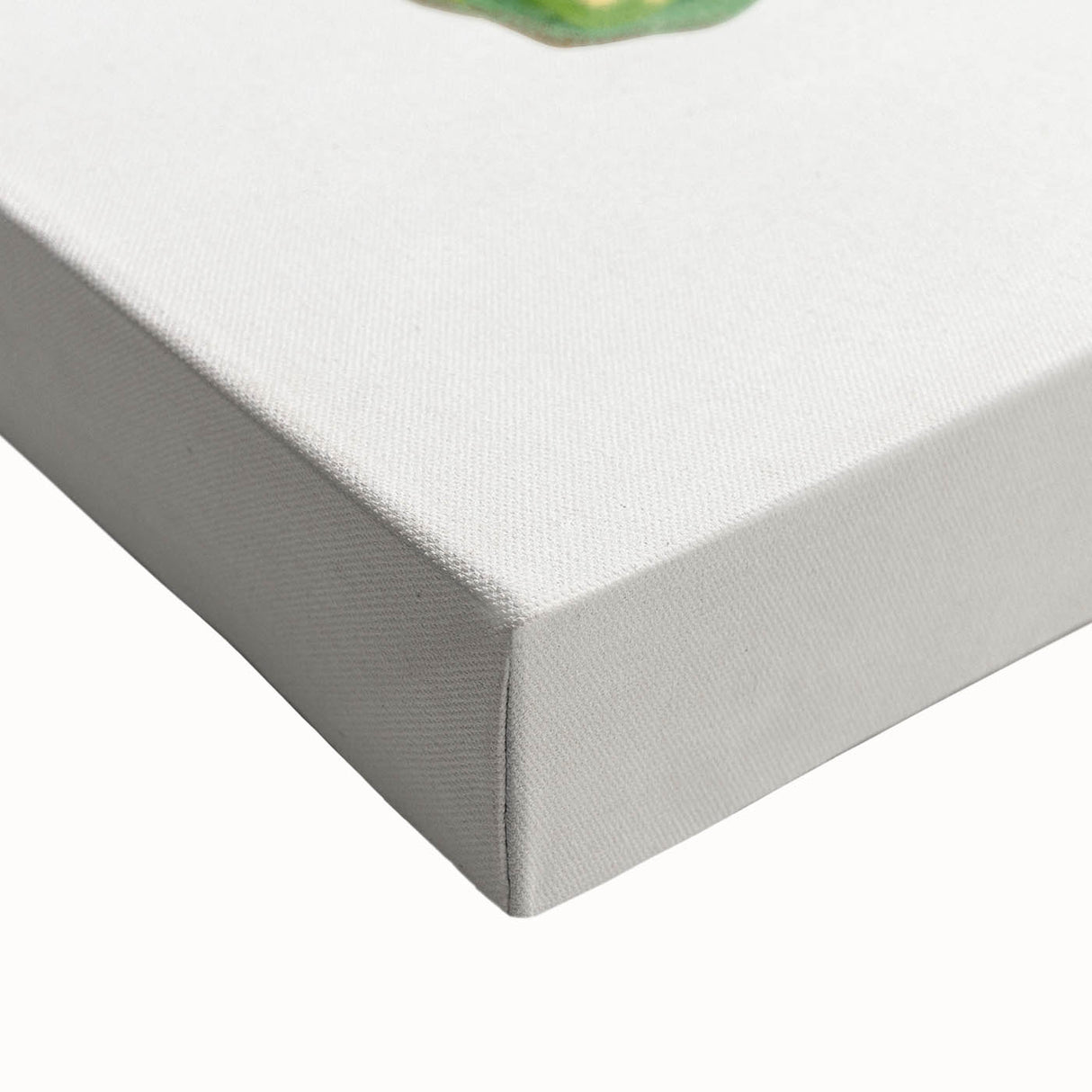 Romanticism Art - Stonecrop Leaf Illustration by Lydon & Fawsett Print