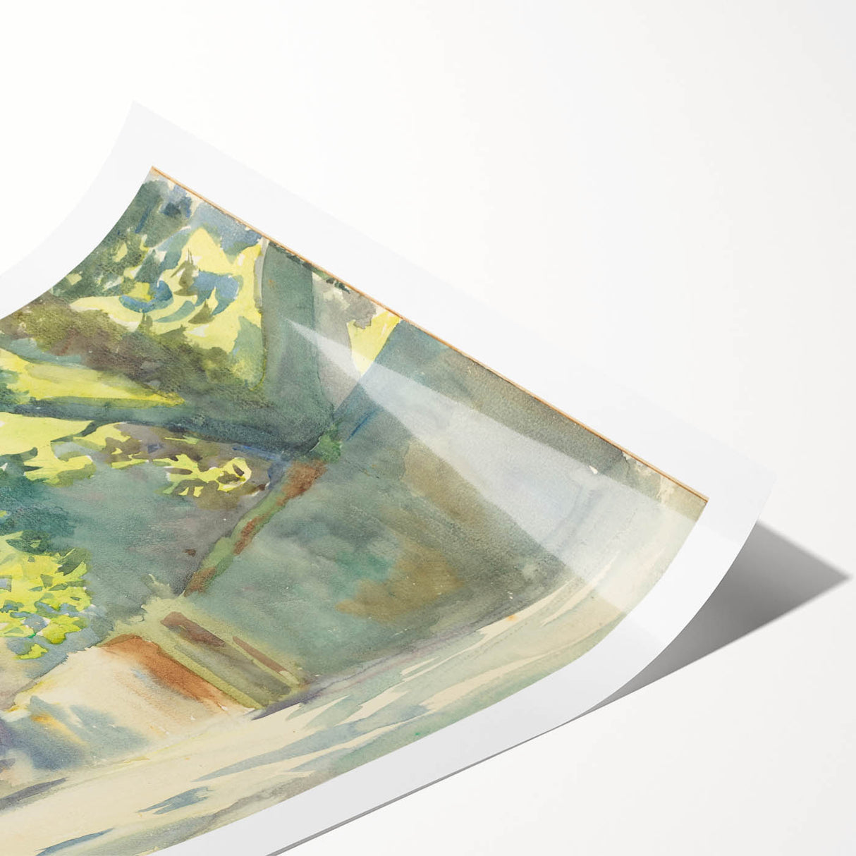 Romanticism Art - Sunlit Wall Under a Tree by John Singer Sargent