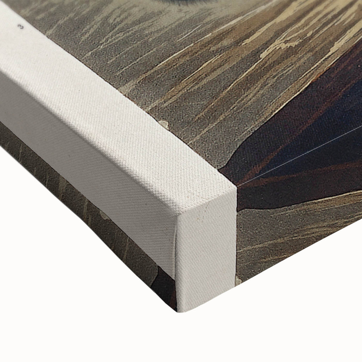 Romanticism Art: "Black Guillemot" by John James Audubon