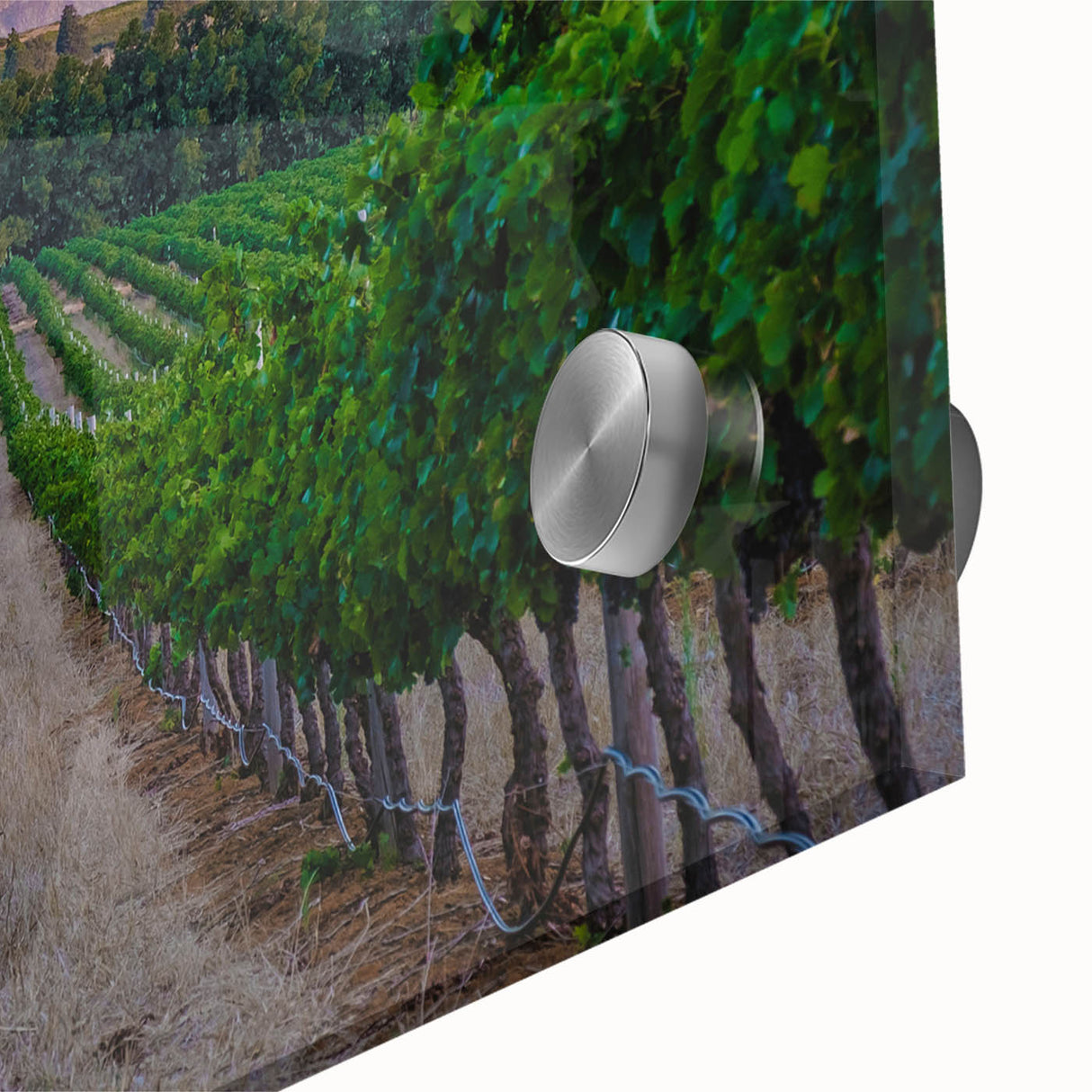 Large abstract wall art depicting a South African scenery in muted earth tones on acrylic glass.