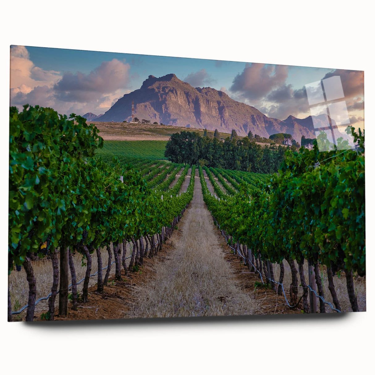 Large abstract wall art depicting the South African scenery in vibrant earth tones on acrylic glass.