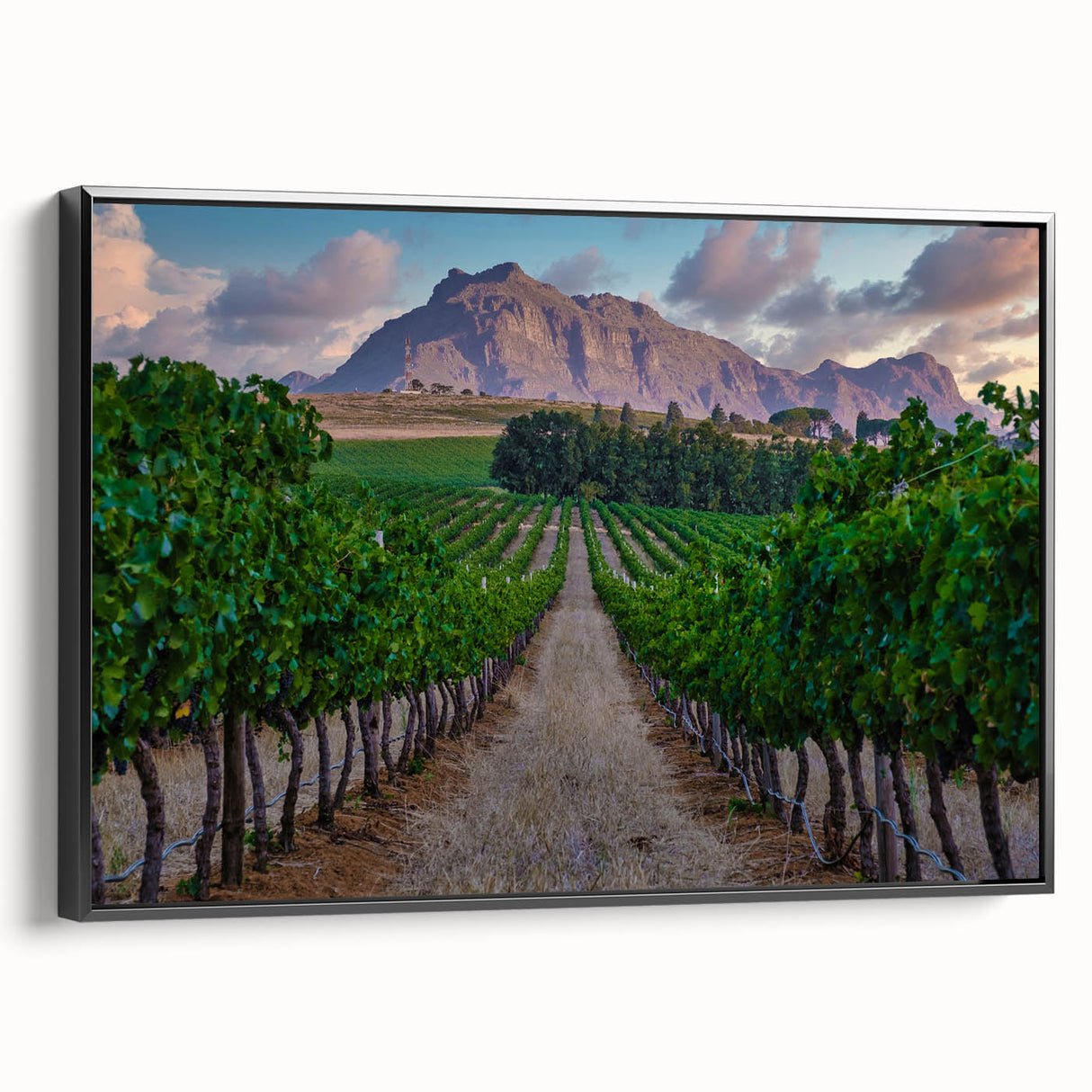 Black and white landscape art painting of an African scenery on framed canvas, ideal for bedroom wall decor.