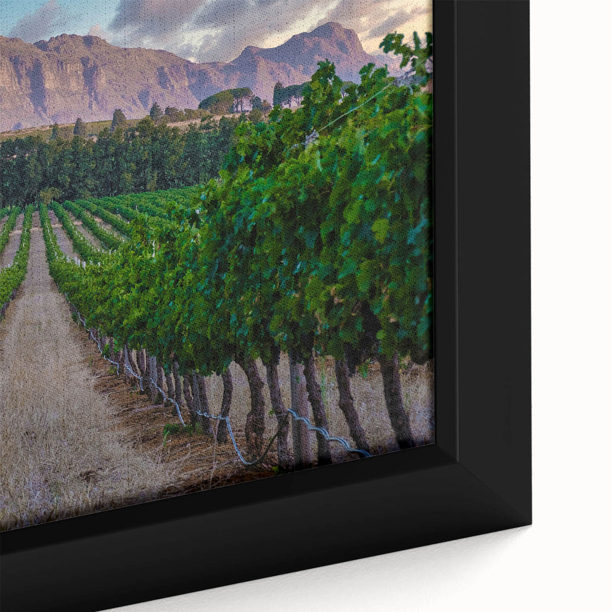 Extra large framed canvas of a textured African landscape in vibrant colors, ideal for living room decor.