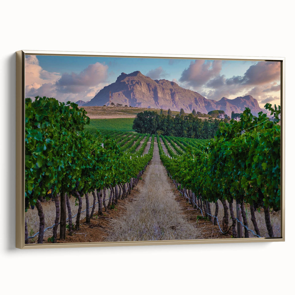 Framed canvas featuring a vintage-style African landscape in gold and black tones, suitable for bedroom decor.