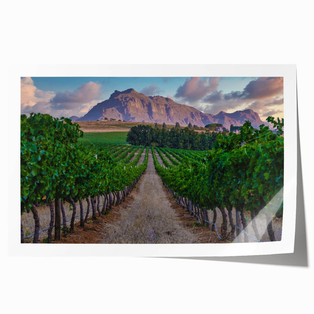 Extra large rolled print of a South African landscape with vibrant green and earth tones, ideal for dining room wall art.