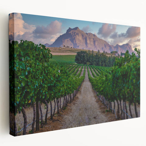 African savannah scene with warm sunrise colors on stretched canvas, suitable for kitchen wall art.