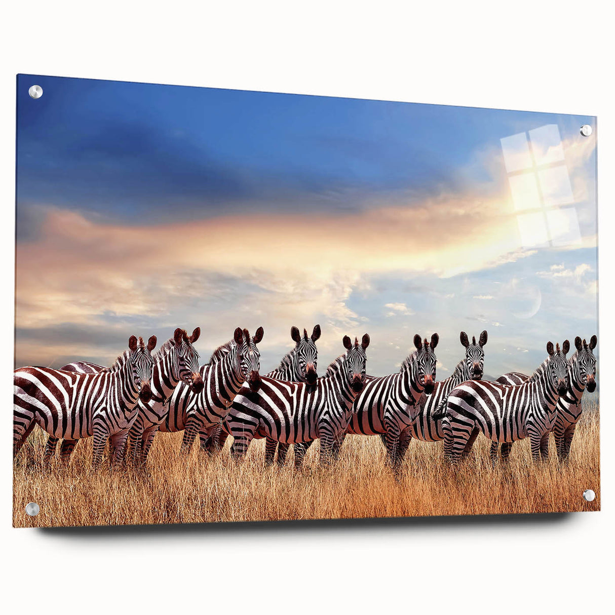 Large abstract wall art of Tanzania scenery on acrylic glass, featuring earthy tones, ideal for bedroom or dining room decor.