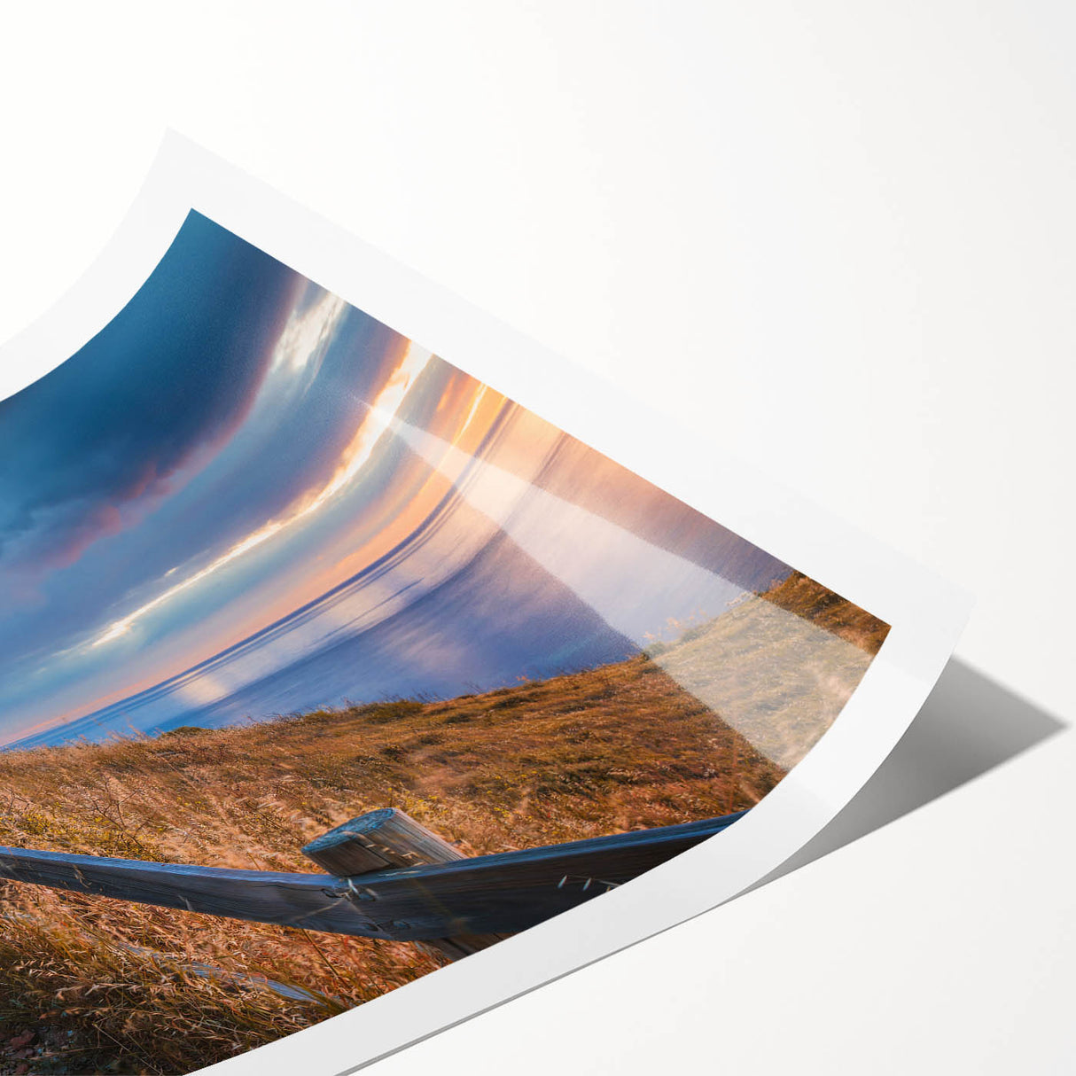 Extra large wall art featuring line art flowers in muted earth tones on a rolled canvas, ideal for large living room decor.